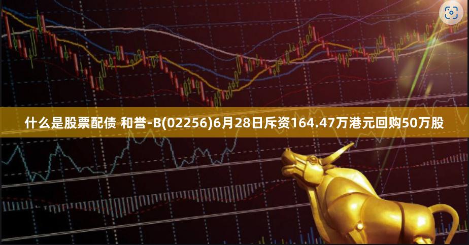 什么是股票配债 和誉-B(02256)6月28日斥资164.47万港元回购50万股