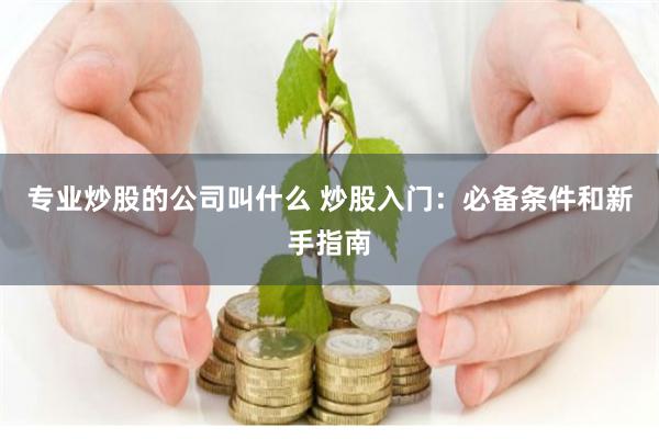 专业炒股的公司叫什么 炒股入门：必备条件和新手指南