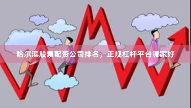 哈尔滨股票配资公司排名，正规杠杆平台哪家好