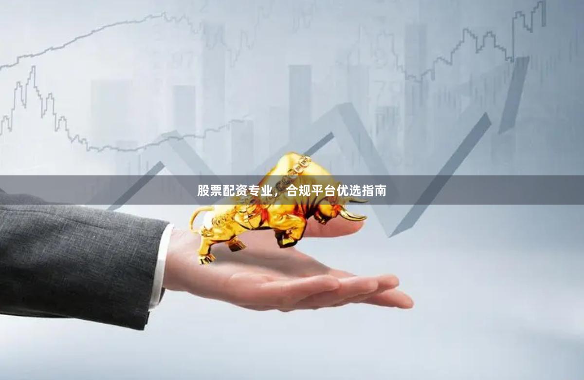 股票配资专业，合规平台优选指南